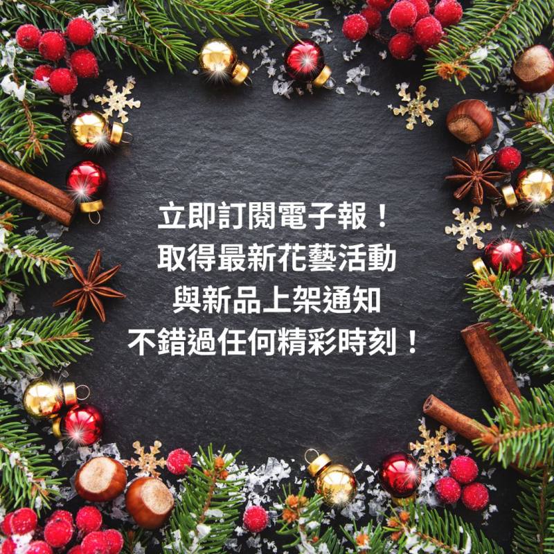 訂閱台北花語電子報的好處-0