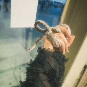 花藝師:蔓莎花藝工作室的家