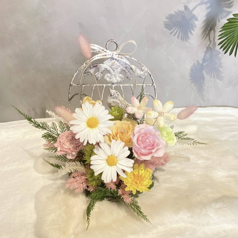 小雛菊的秘密花園#A-795 圖片