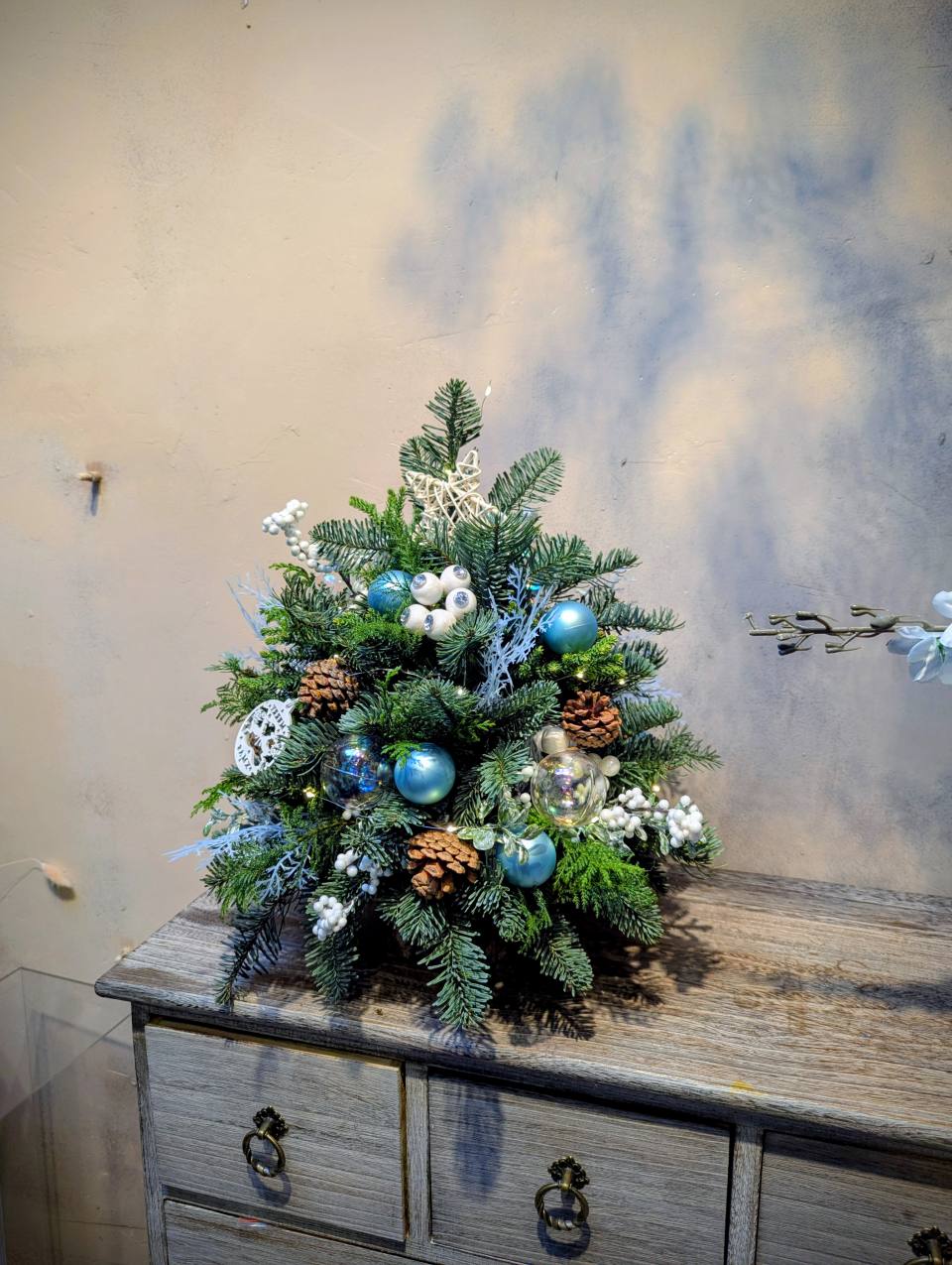 藍色極光諾貝松聖誕樹+peter老師