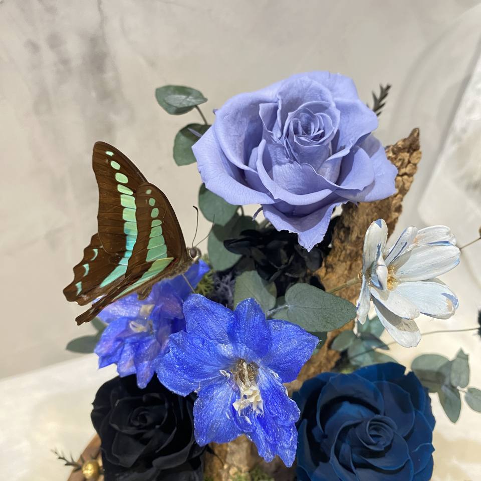 森呼吸 永生花 夜燈 蝴蝶標本