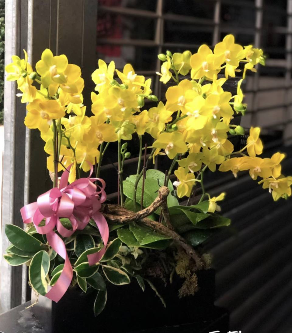 黃色光芒