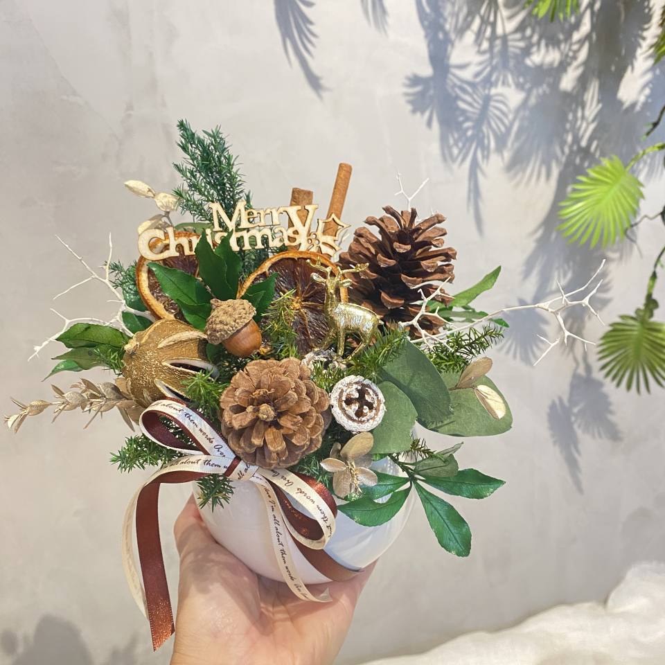果香聖誕盆+花木植物所