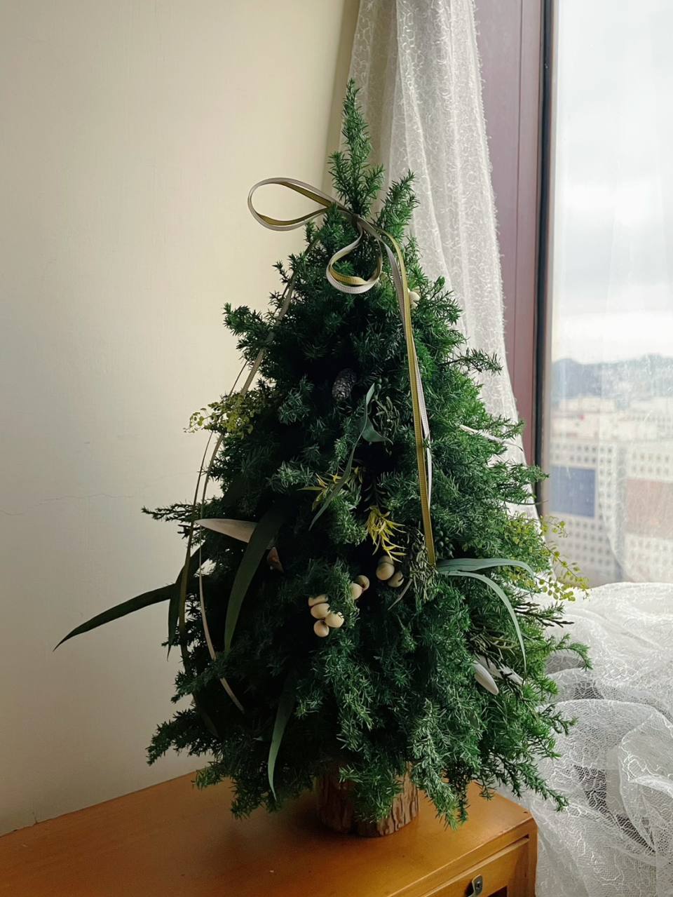 【永生聖誕樹】2025植草系聖誕樹